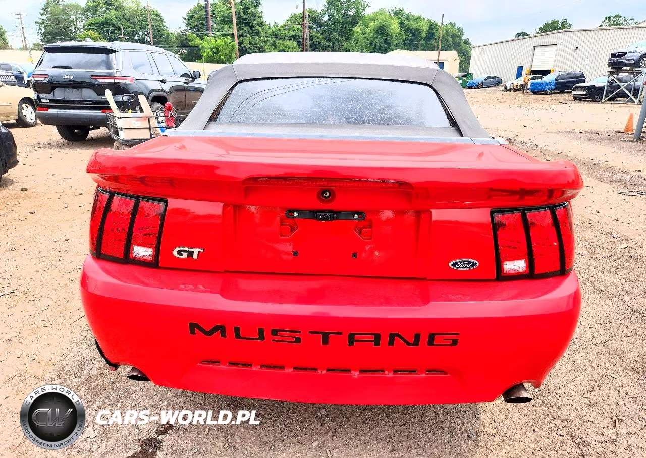 2003 Ford Mustang Gt VIN:1FAFP45X43F406230 - 6