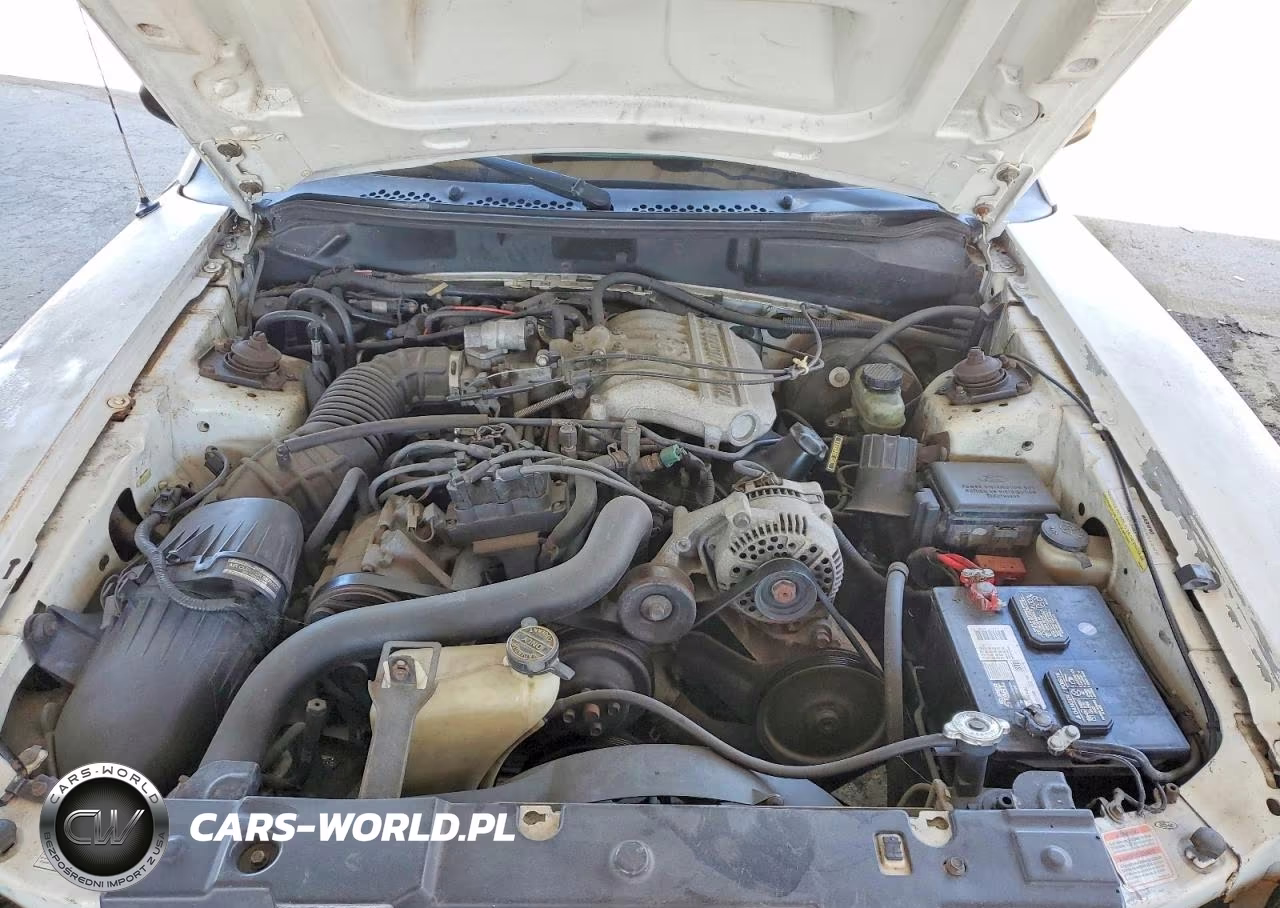 1997 Ford Mustang VIN:1FALP4448VF196681 - 11