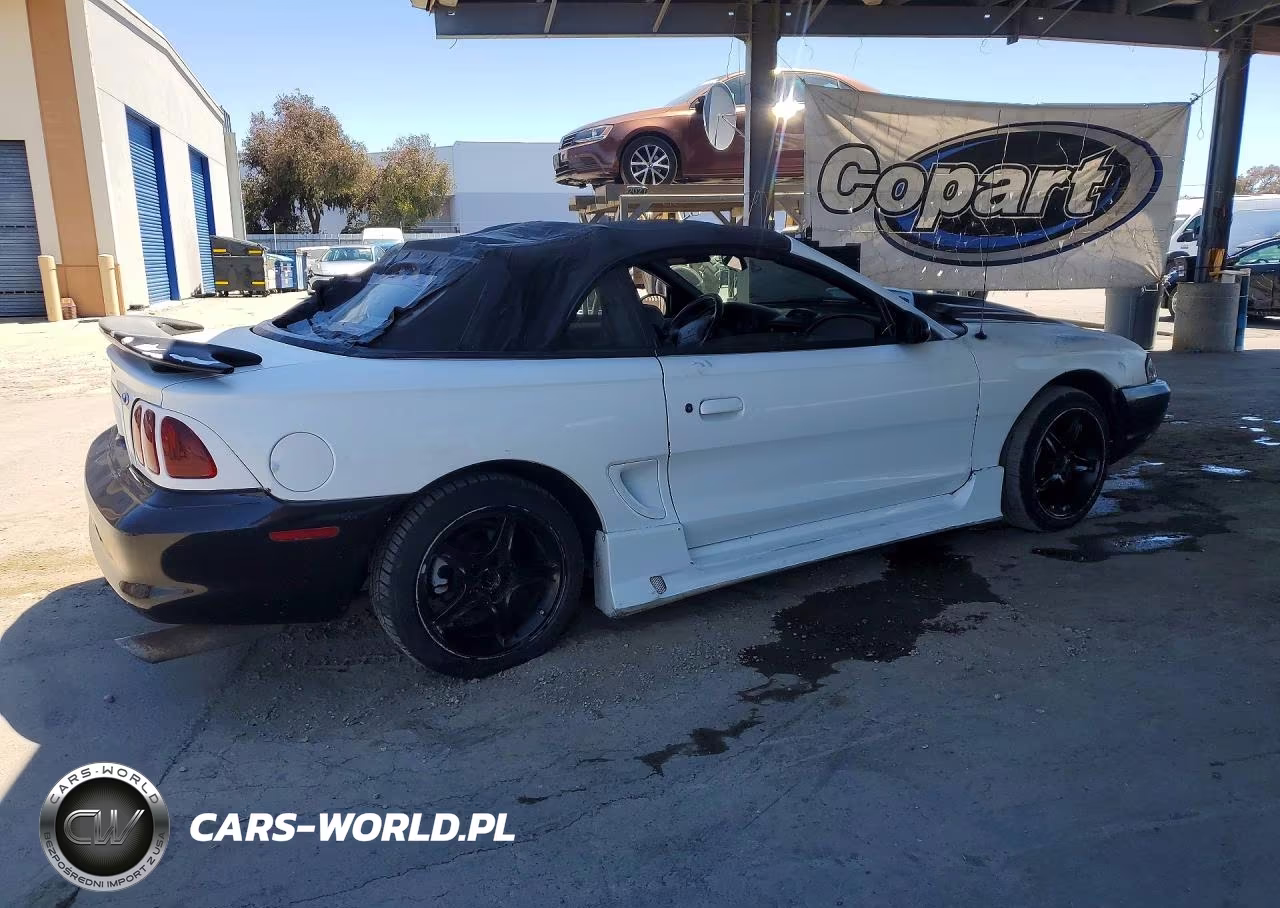 1997 Ford Mustang VIN:1FALP4448VF196681 - 3