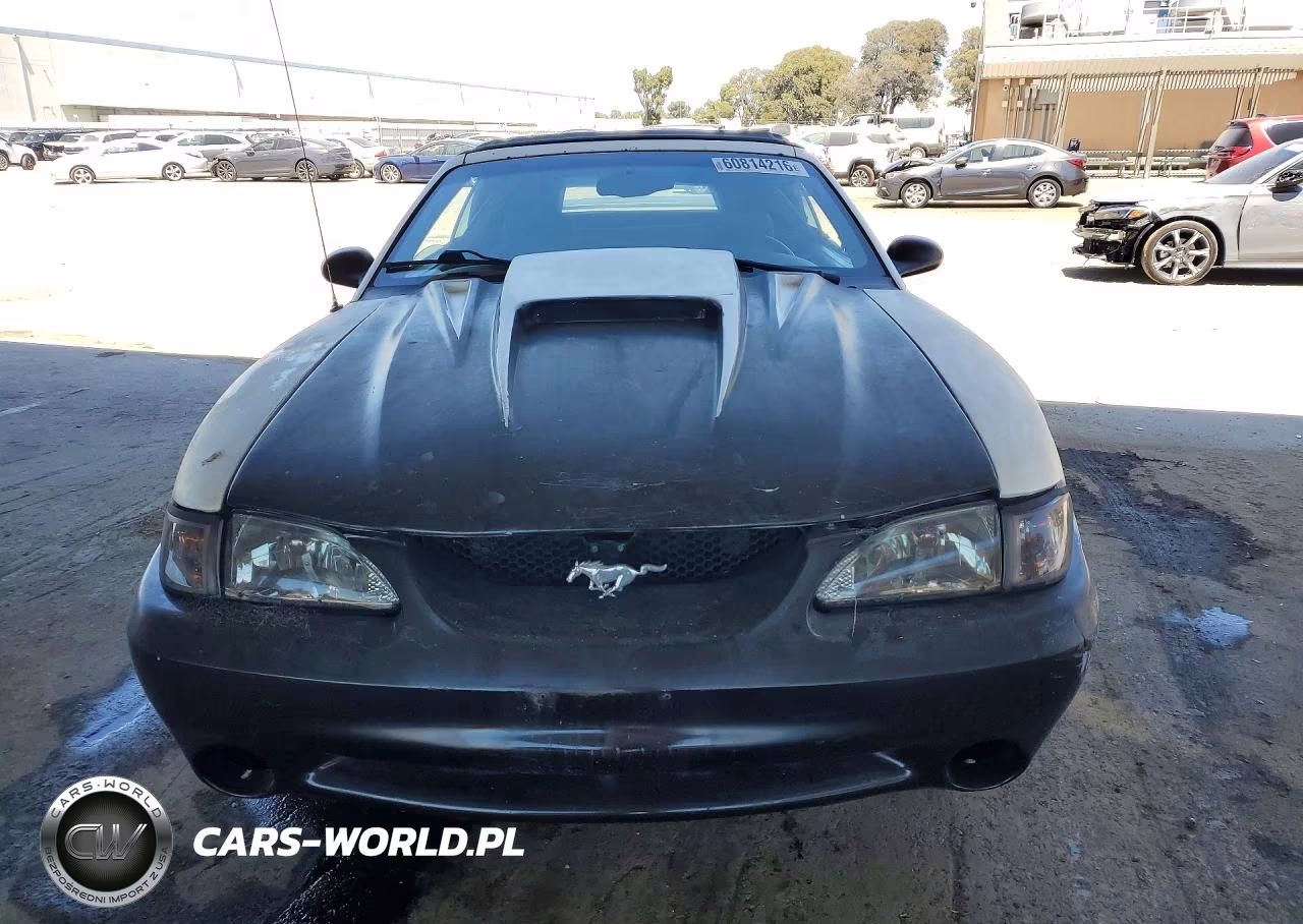 1997 Ford Mustang VIN:1FALP4448VF196681 - 5