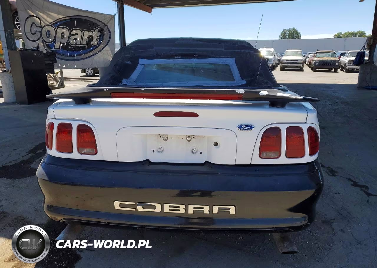1997 Ford Mustang VIN:1FALP4448VF196681 - 6