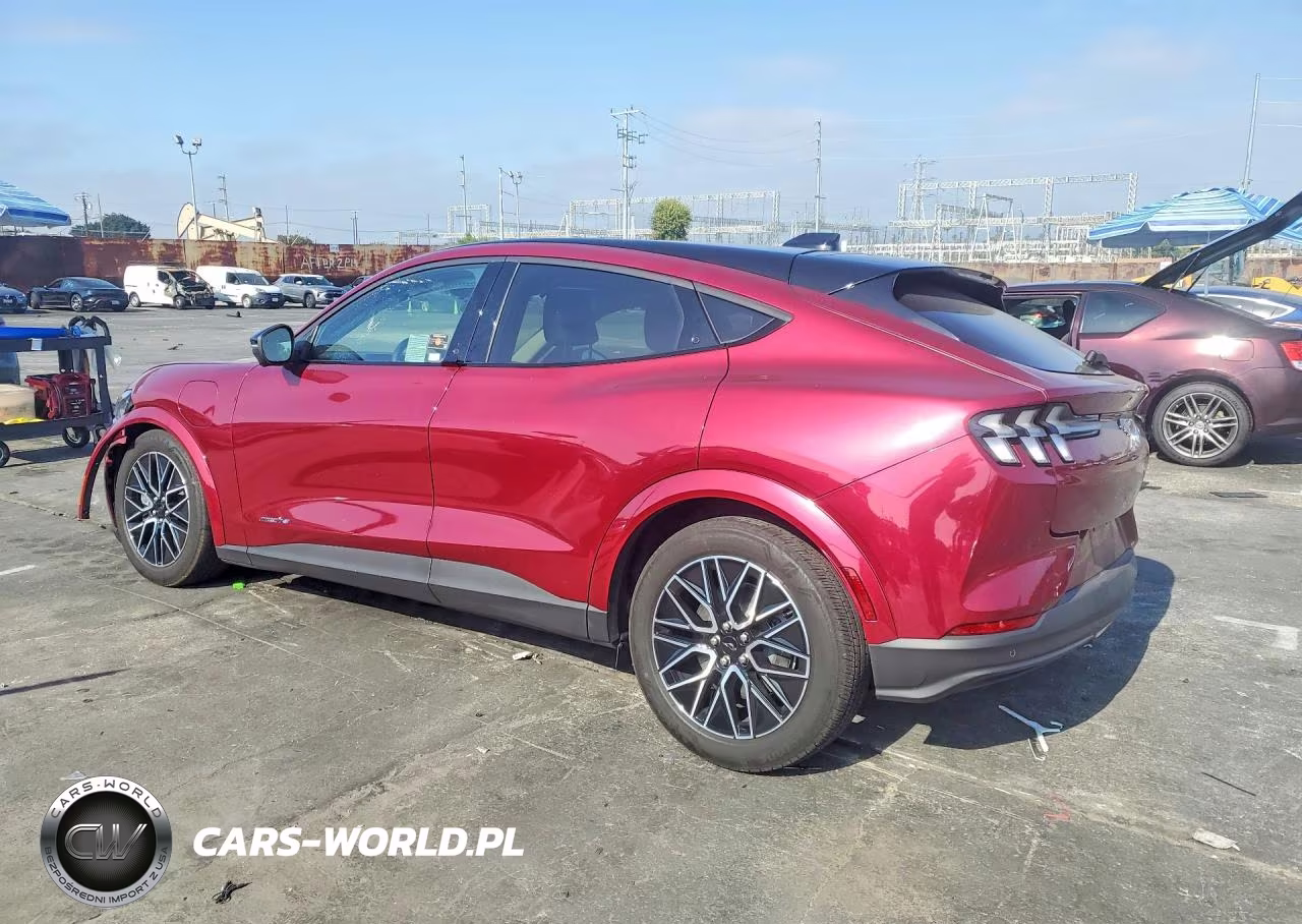 2025 Ford Mustang Mach-E Premium VIN:3FMTK3R76SMA07619 - 2