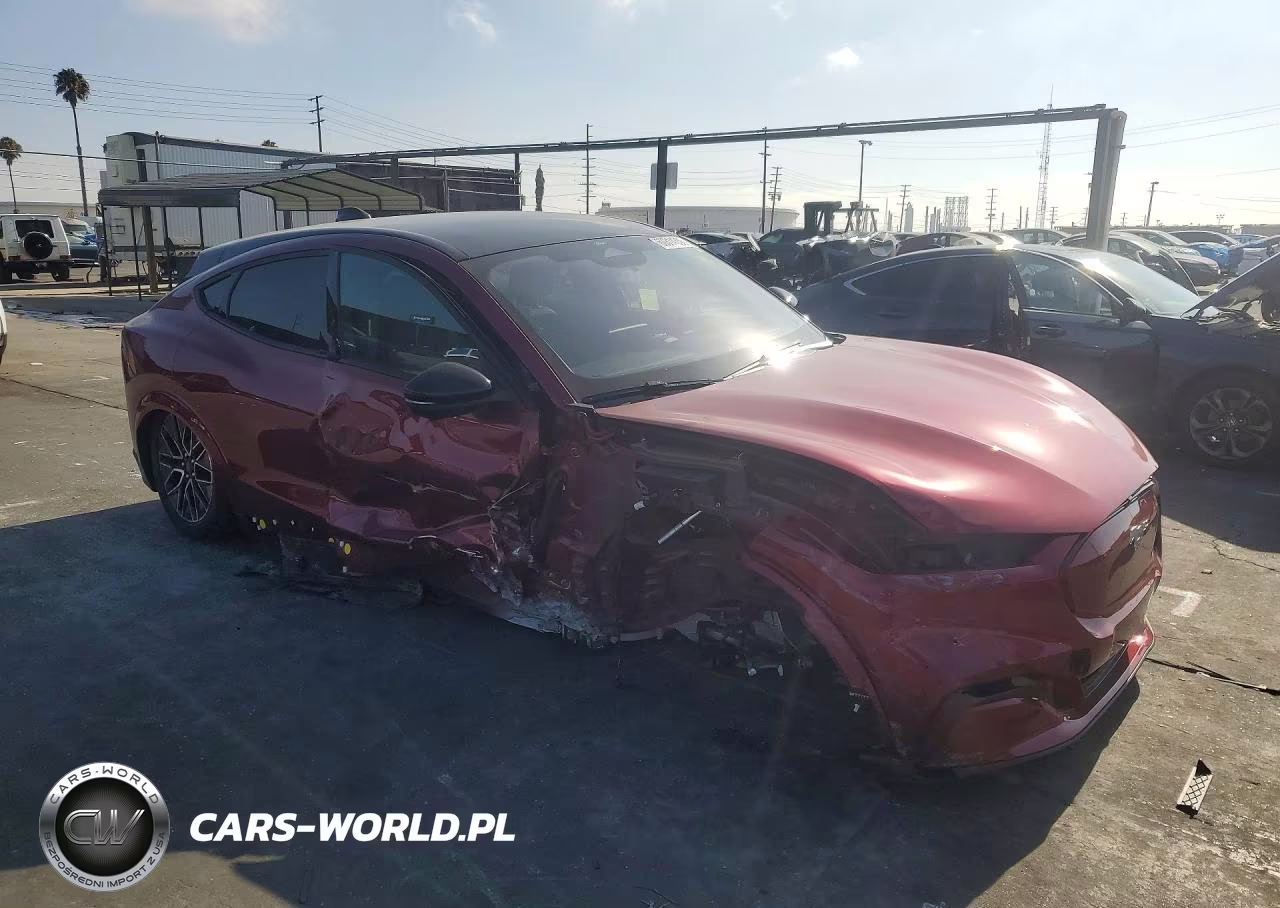 2025 Ford Mustang Mach-E Premium VIN:3FMTK3R76SMA07619 - 4
