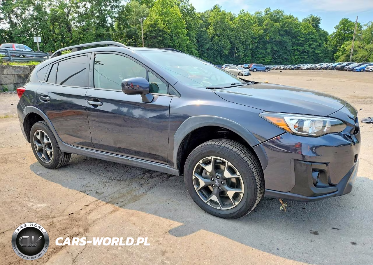 2019 Subaru Crosstrek Premium VIN:JF2GTAEC9K8305906 - 4