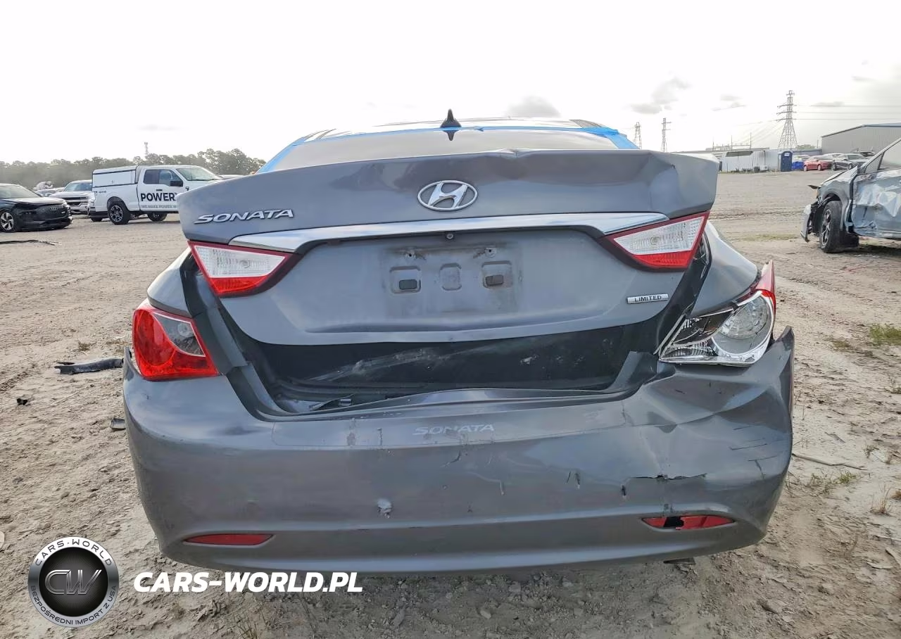 2013 Hyundai Sonata Limited VIN:5NPEC4ACXDH670810 - 6