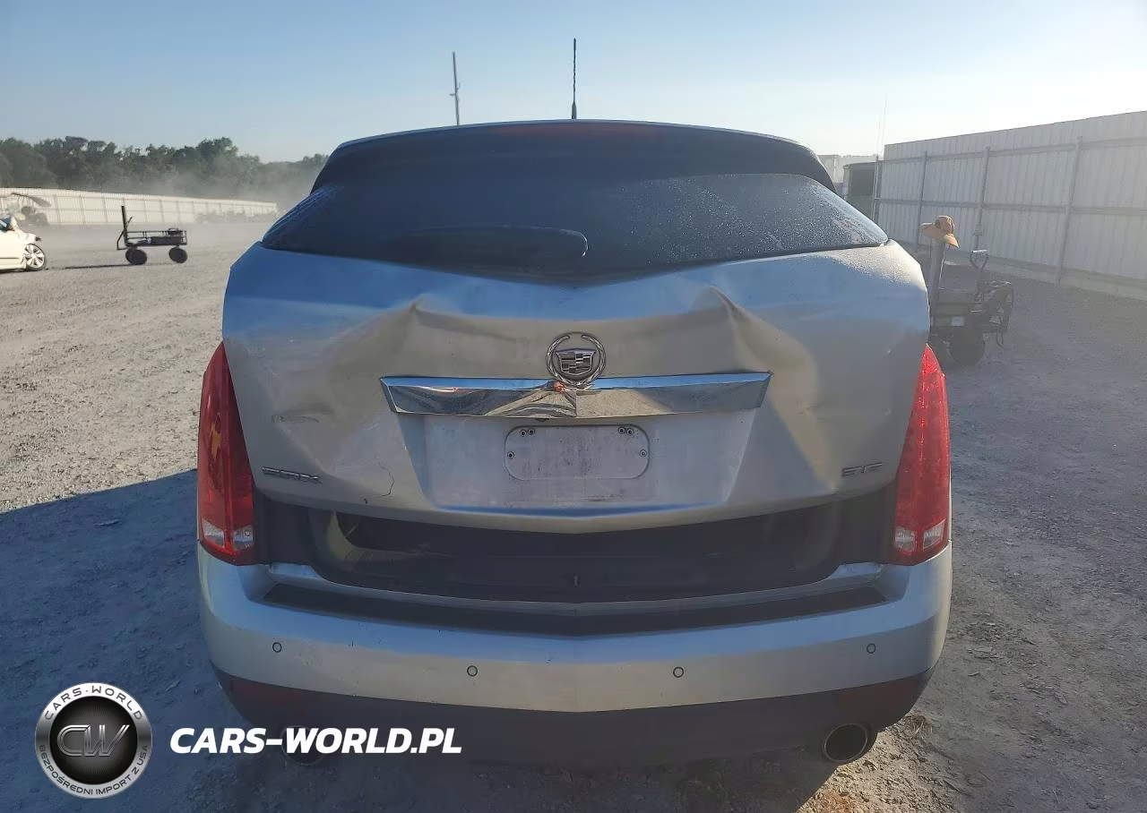 2012 Cadillac Srx Luxury Collection VIN:3GYFNAE33CS500665 - 6