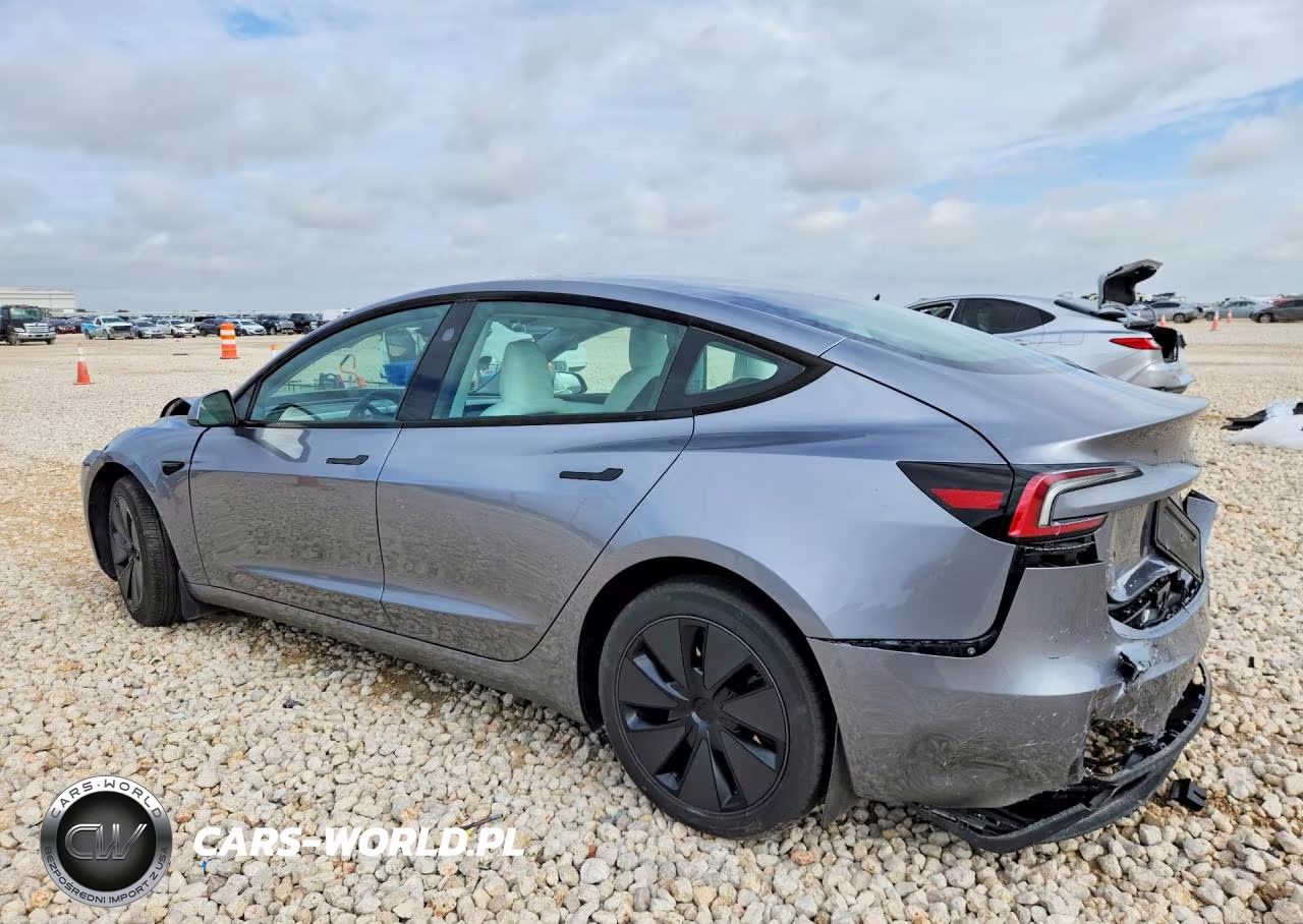 2025 Tesla Model 3 VIN:5YJ3E1EA5SF969142 - 2