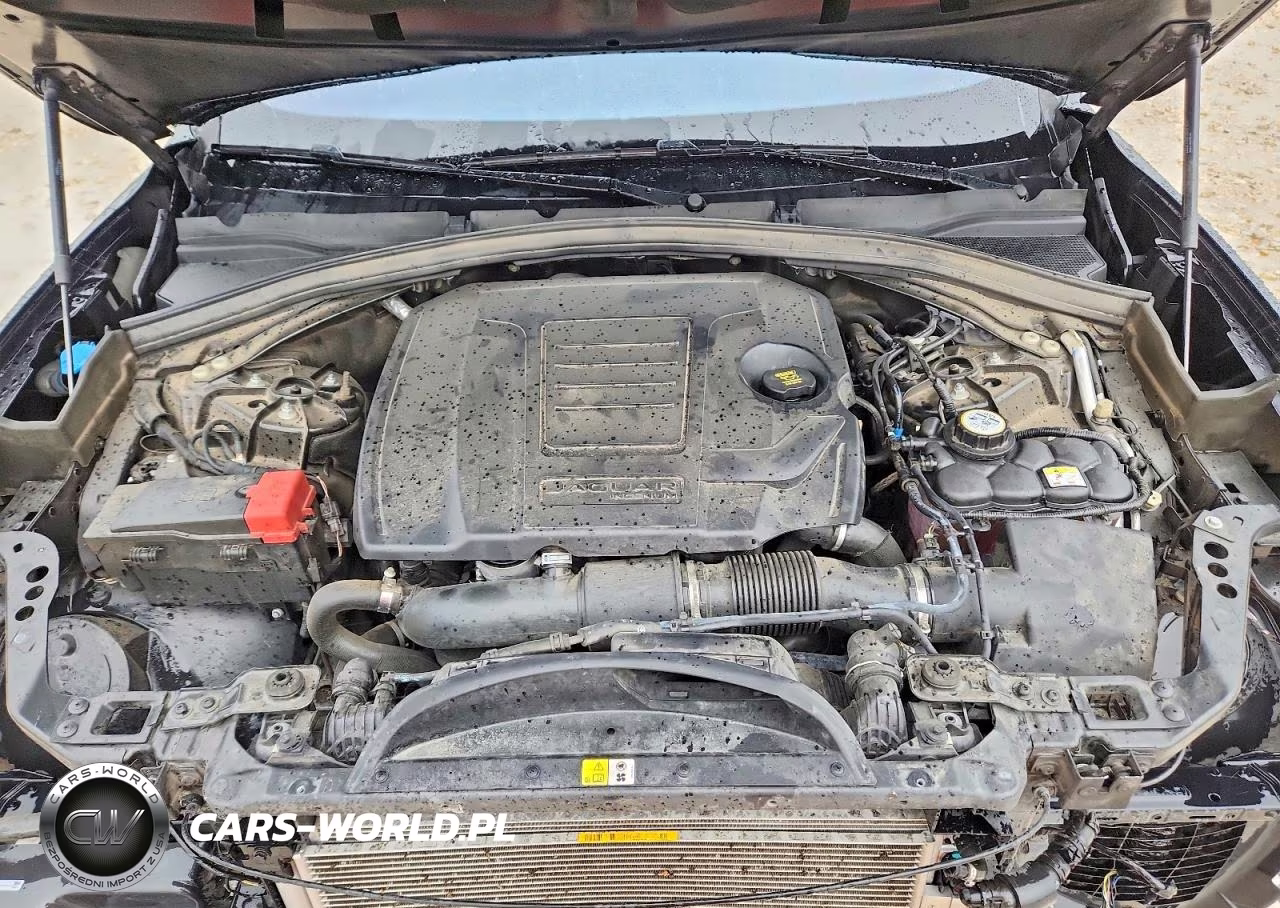 2019 Jaguar F-Pace Premium VIN:SADCJ2FX2KA362875 - 11