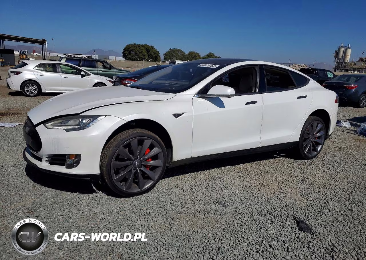 2013 Tesla Model S Performance
