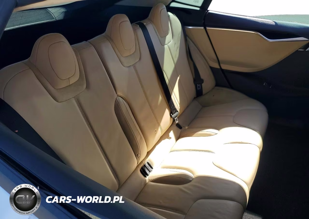 2013 Tesla Model S Performance VIN:5YJSA1DP9DFP13098 - 10