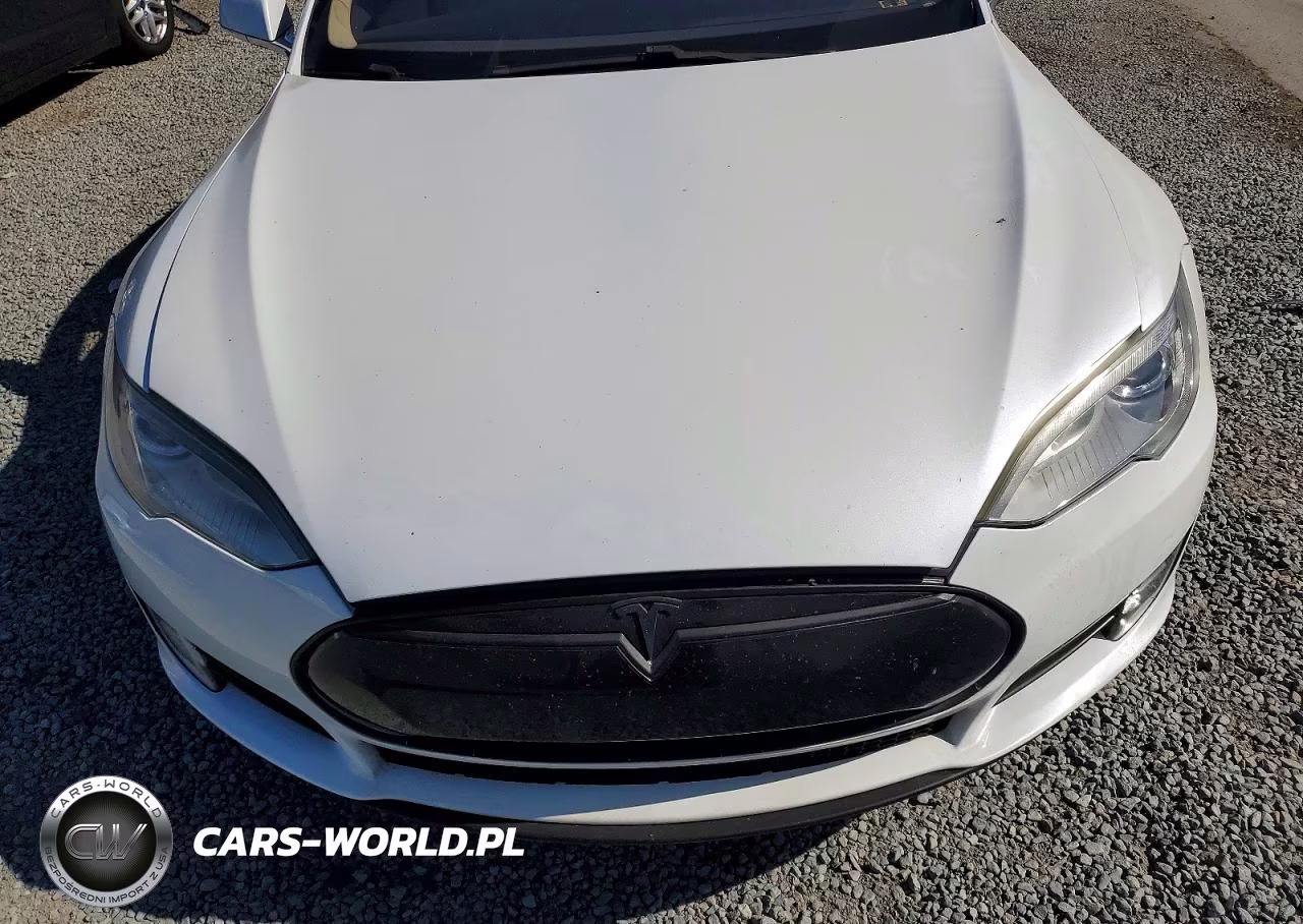 2013 Tesla Model S Performance VIN:5YJSA1DP9DFP13098 - 11