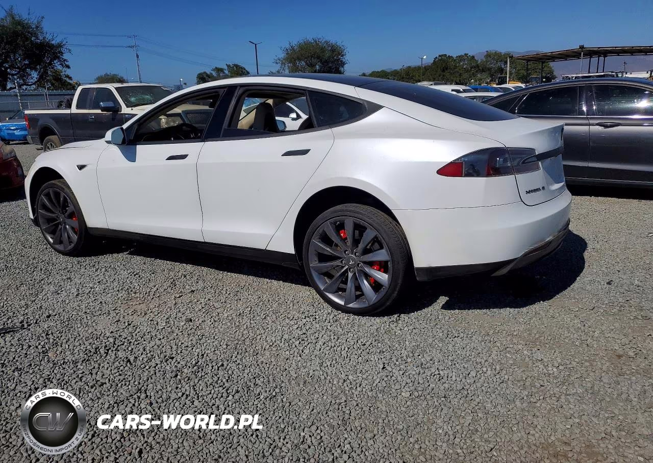 2013 Tesla Model S Performance VIN:5YJSA1DP9DFP13098 - 2