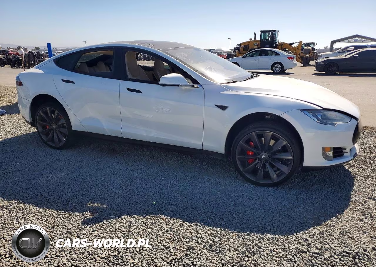 2013 Tesla Model S Performance VIN:5YJSA1DP9DFP13098 - 4