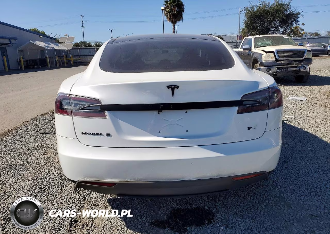 2013 Tesla Model S Performance VIN:5YJSA1DP9DFP13098 - 6