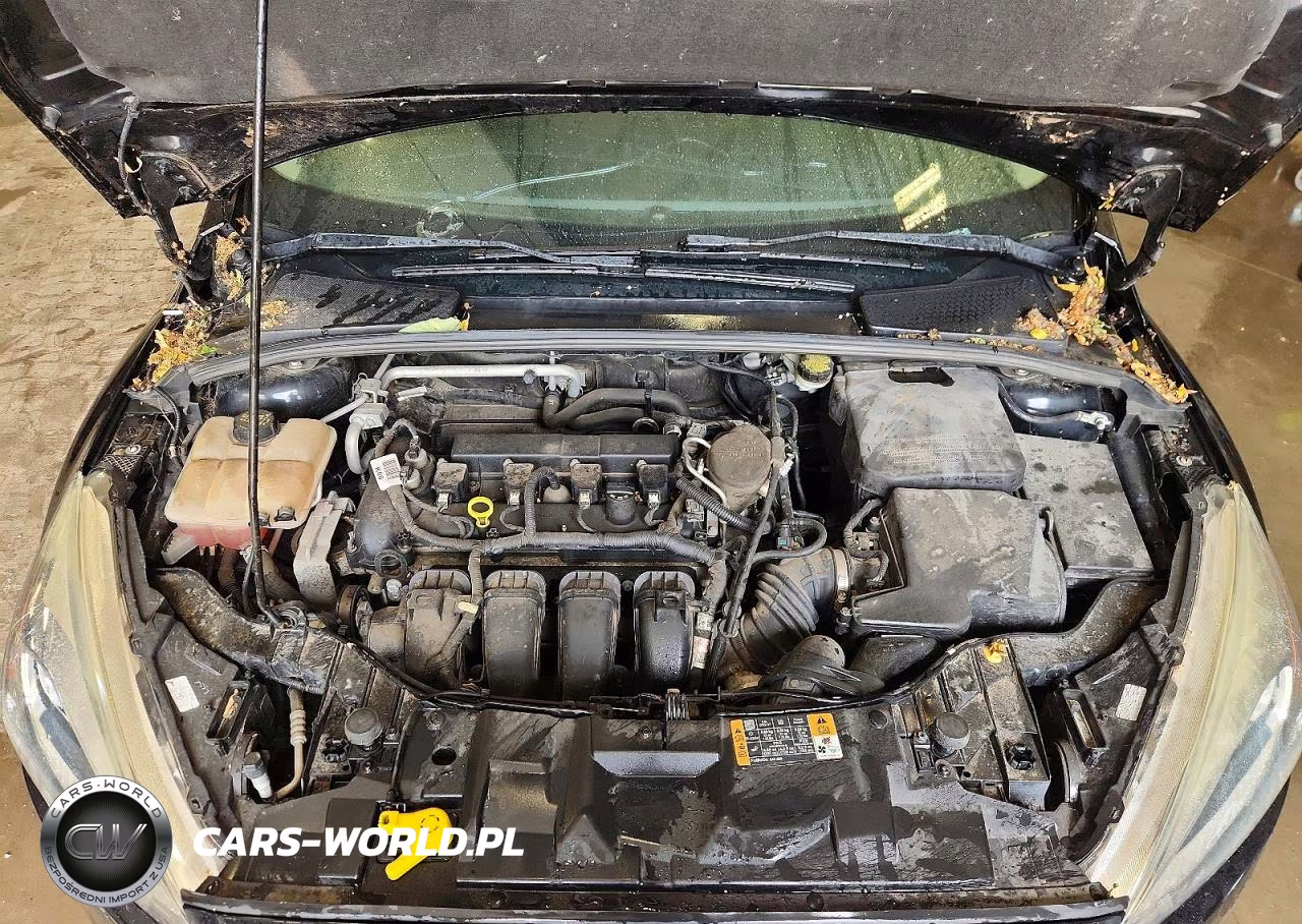 2016 Ford Focus Se VIN:1FADP3K28GL285753 - 11