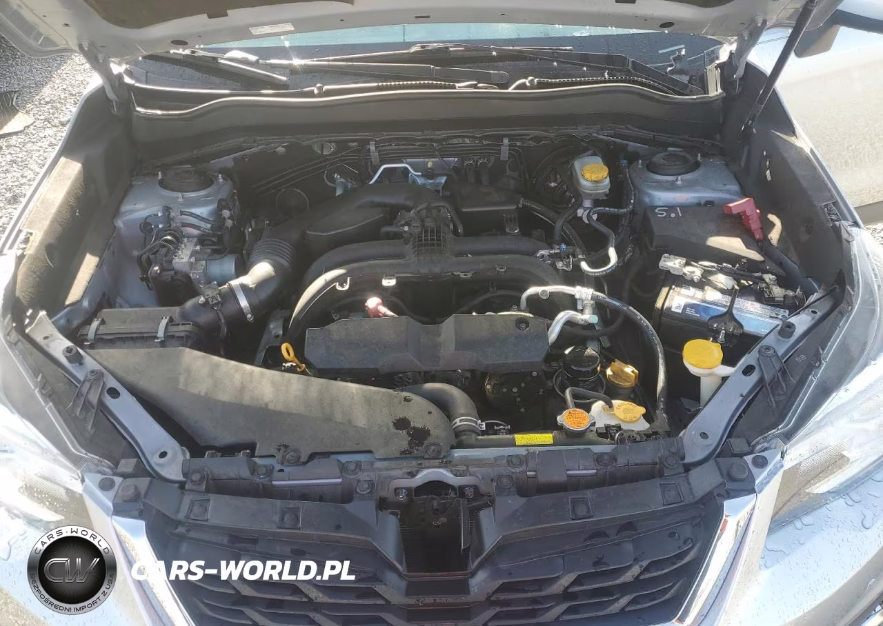 2017 Subaru Forester 2.5I Limited VIN:JF2SJARC0HH537572 - 12