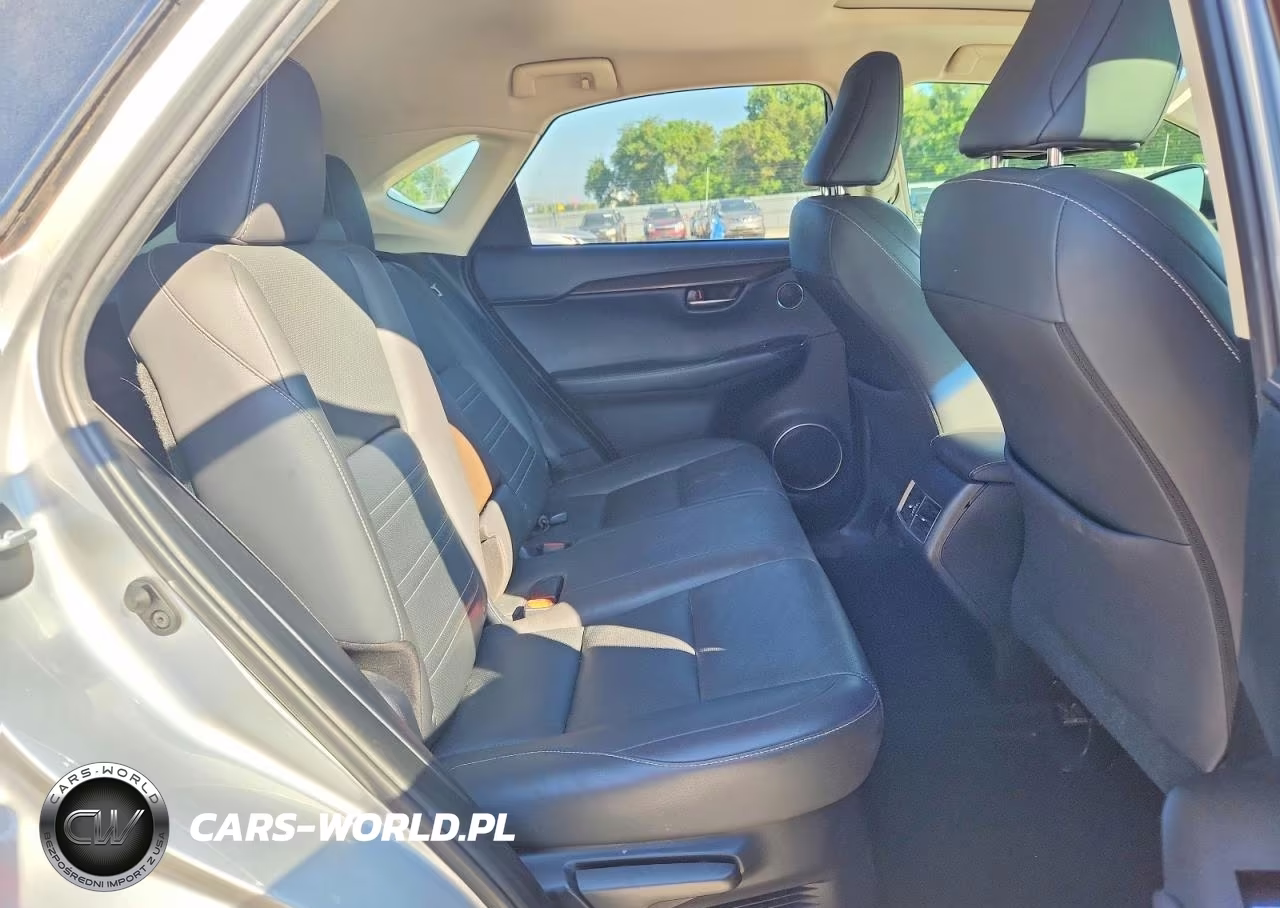 2018 Lexus Nx 300 Base VIN:JTJYARBZ7J2092808 - 10