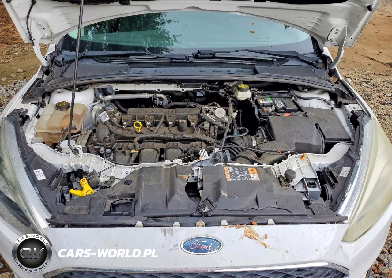 2017 Ford Focus S VIN:1FADP3E20HL239492 - 11