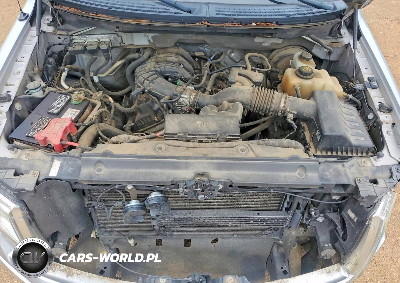 2013 Ford F150 Supercrew VIN:1FTEW1CM8DKD30178 - 11