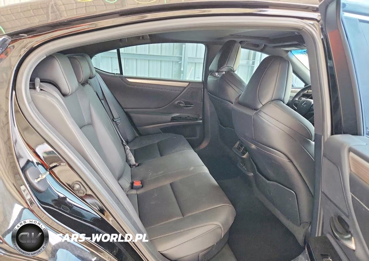 2022 Lexus Es 300H F Sport VIN:58AGA1C19NU023013 - 10