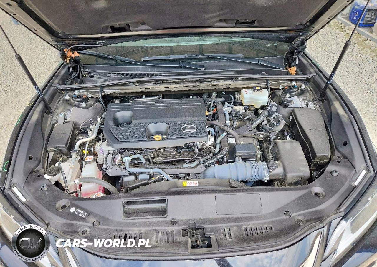 2022 Lexus Es 300H F Sport VIN:58AGA1C19NU023013 - 11