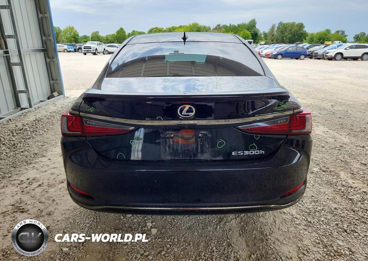 2022 Lexus Es 300H F Sport VIN:58AGA1C19NU023013 - 6