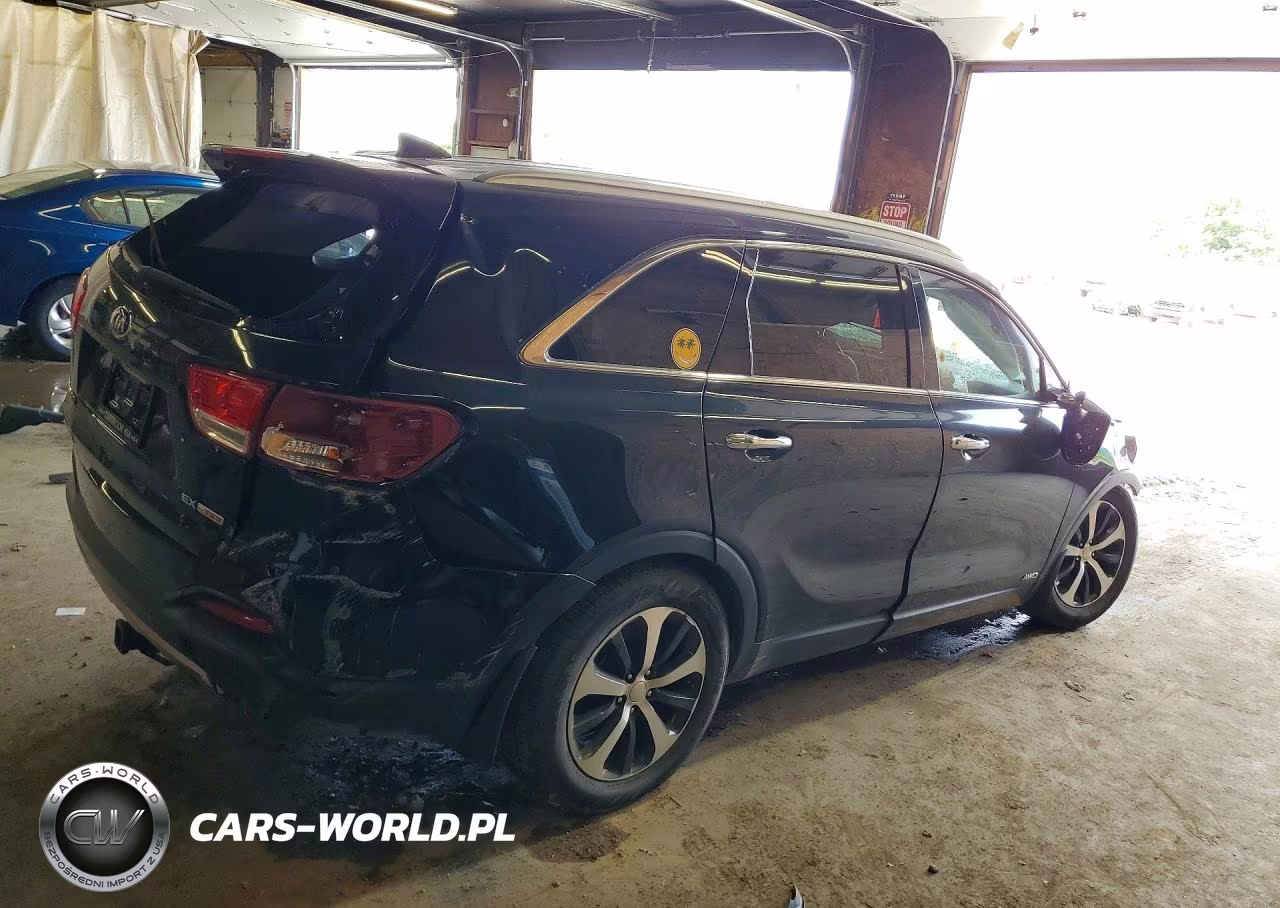 2016 Kia Sorento Ex VIN:5XYPHDA19GG136962 - 3