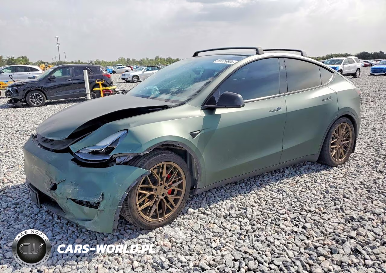 2024 Tesla Model Y VIN:7SAYGDEF9RA262794 - 1