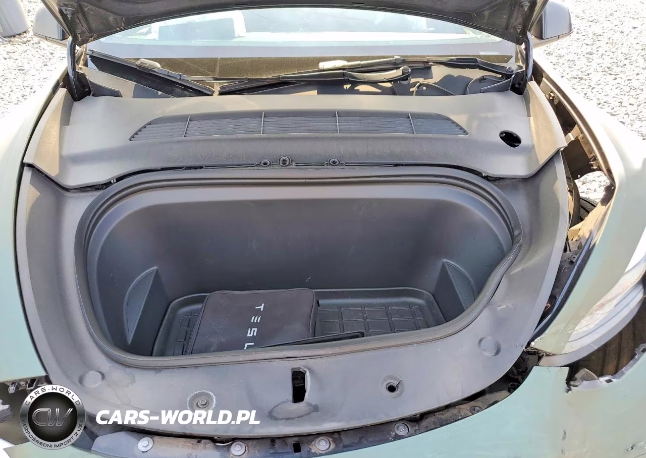 2024 Tesla Model Y VIN:7SAYGDEF9RA262794 - 11