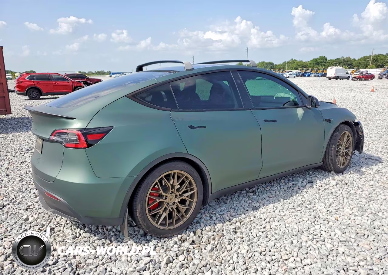 2024 Tesla Model Y VIN:7SAYGDEF9RA262794 - 3