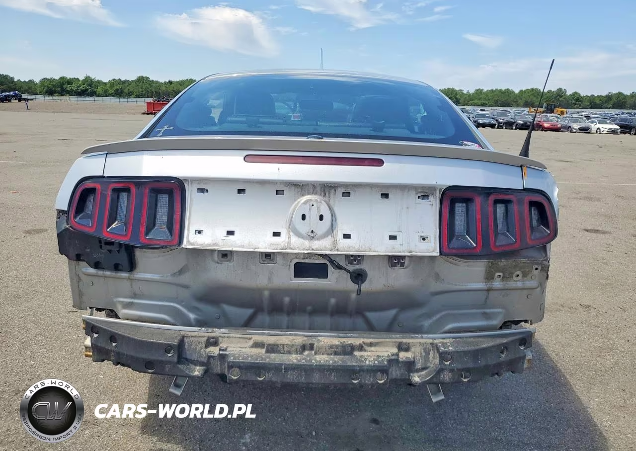 2013 Ford Mustang VIN:1ZVBP8AM9D5215709 - 6