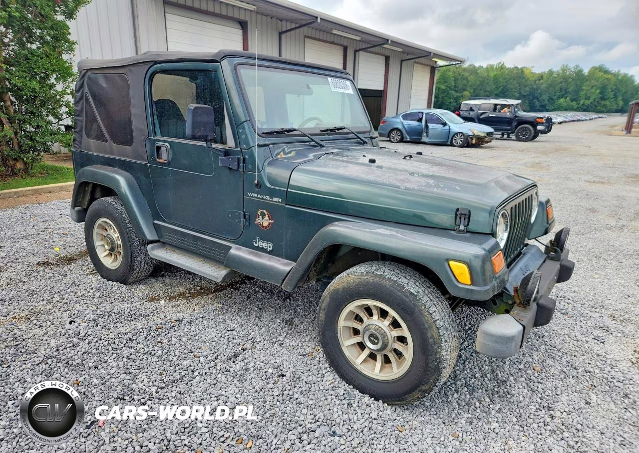 2002 Jeep Wrangler - Tj Sahara VIN:1J4FA59S22P725130 - 4