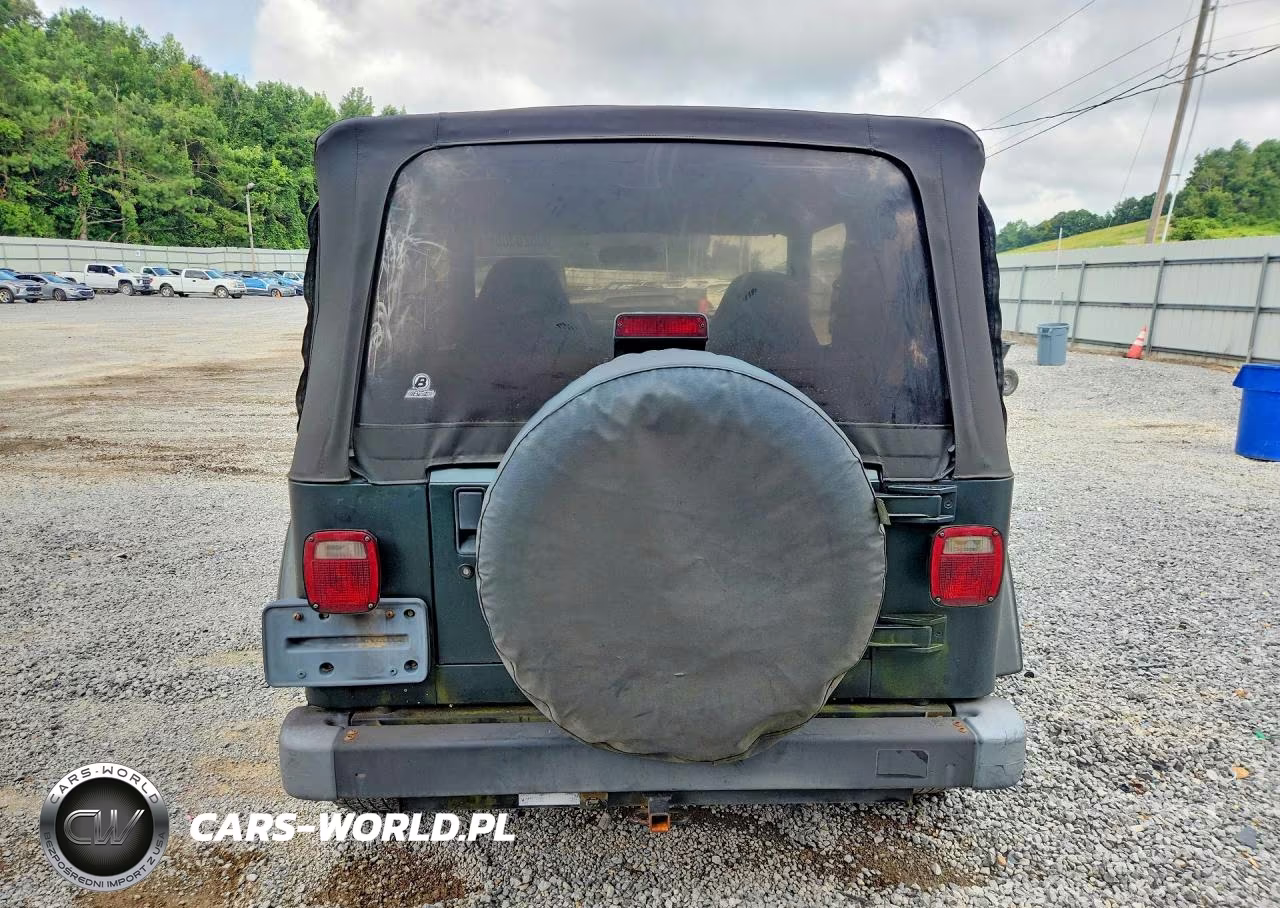 2002 Jeep Wrangler - Tj Sahara VIN:1J4FA59S22P725130 - 6