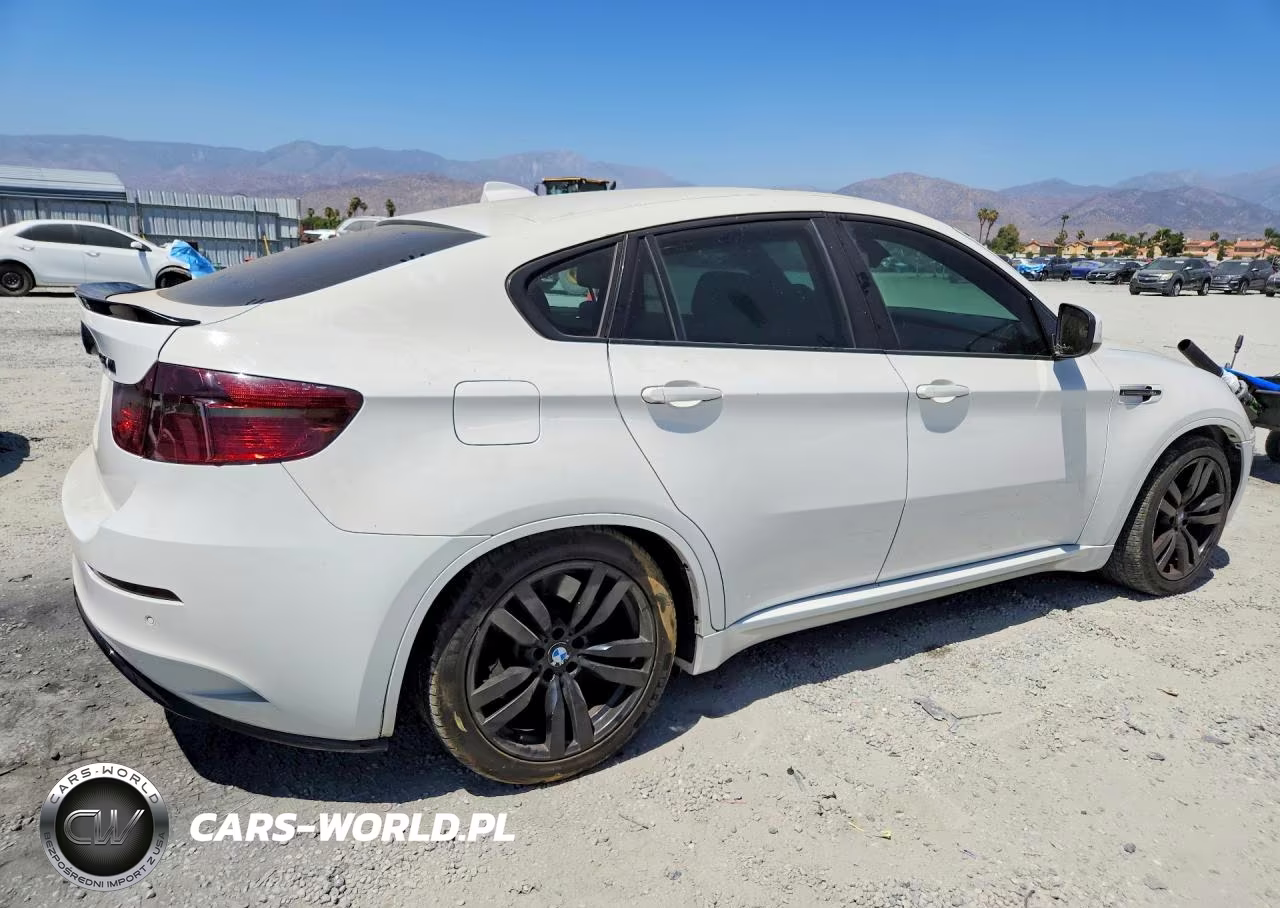2012 BMW X6 M VIN:5YMGZ0C53CLK14728 - 3