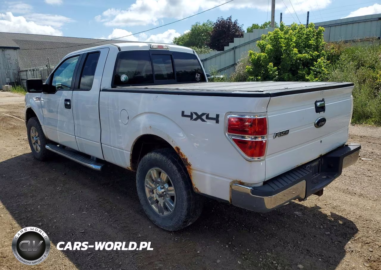 2010 Ford F150 Super Cab VIN:1FTEX1E83AFD76924 - 2