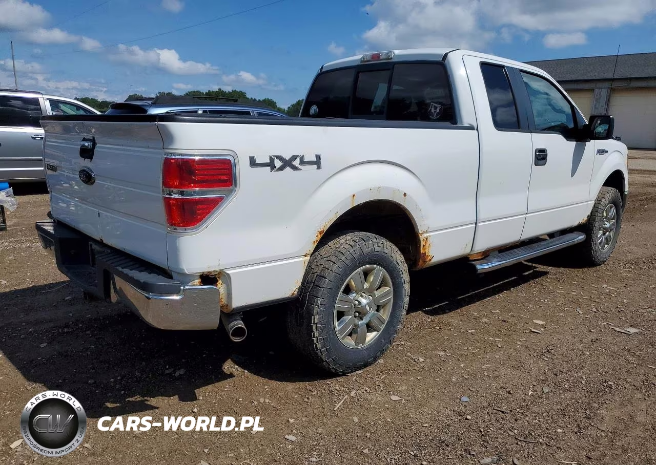 2010 Ford F150 Super Cab VIN:1FTEX1E83AFD76924 - 3