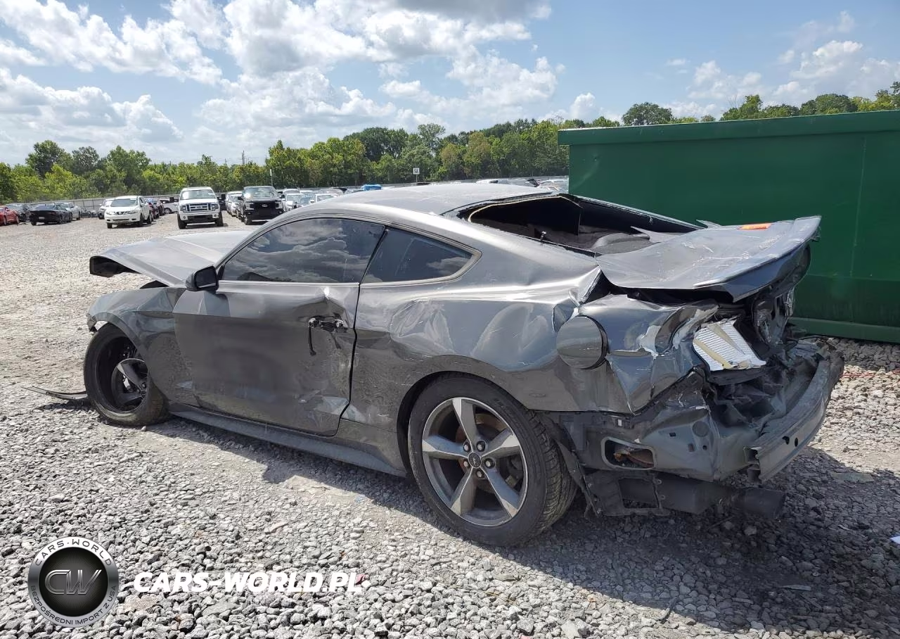 2016 Ford Mustang VIN:1FA6P8AM4G5302836 - 2