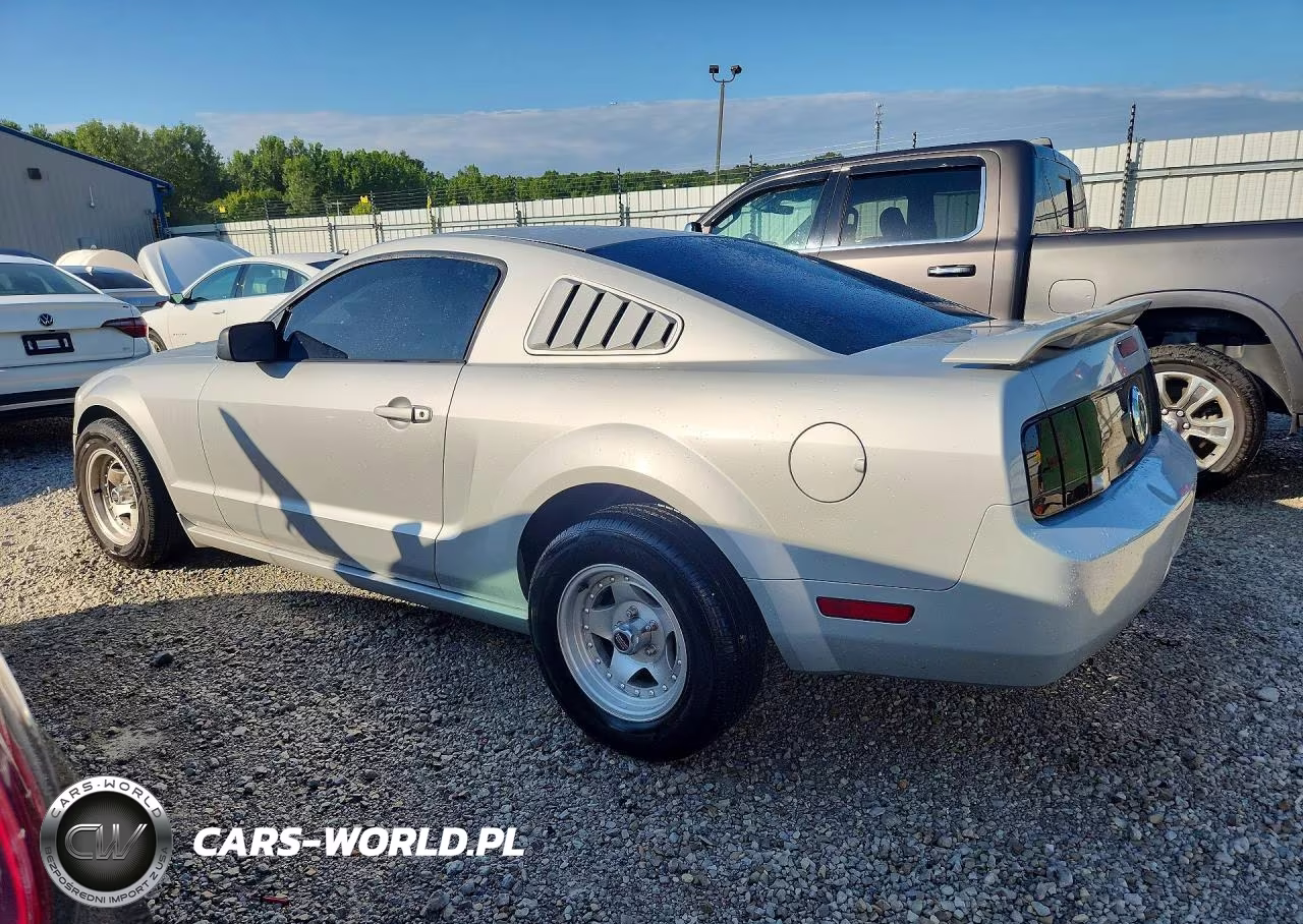 2005 Ford Mustang VIN:1ZVFT80N955188682 - 2