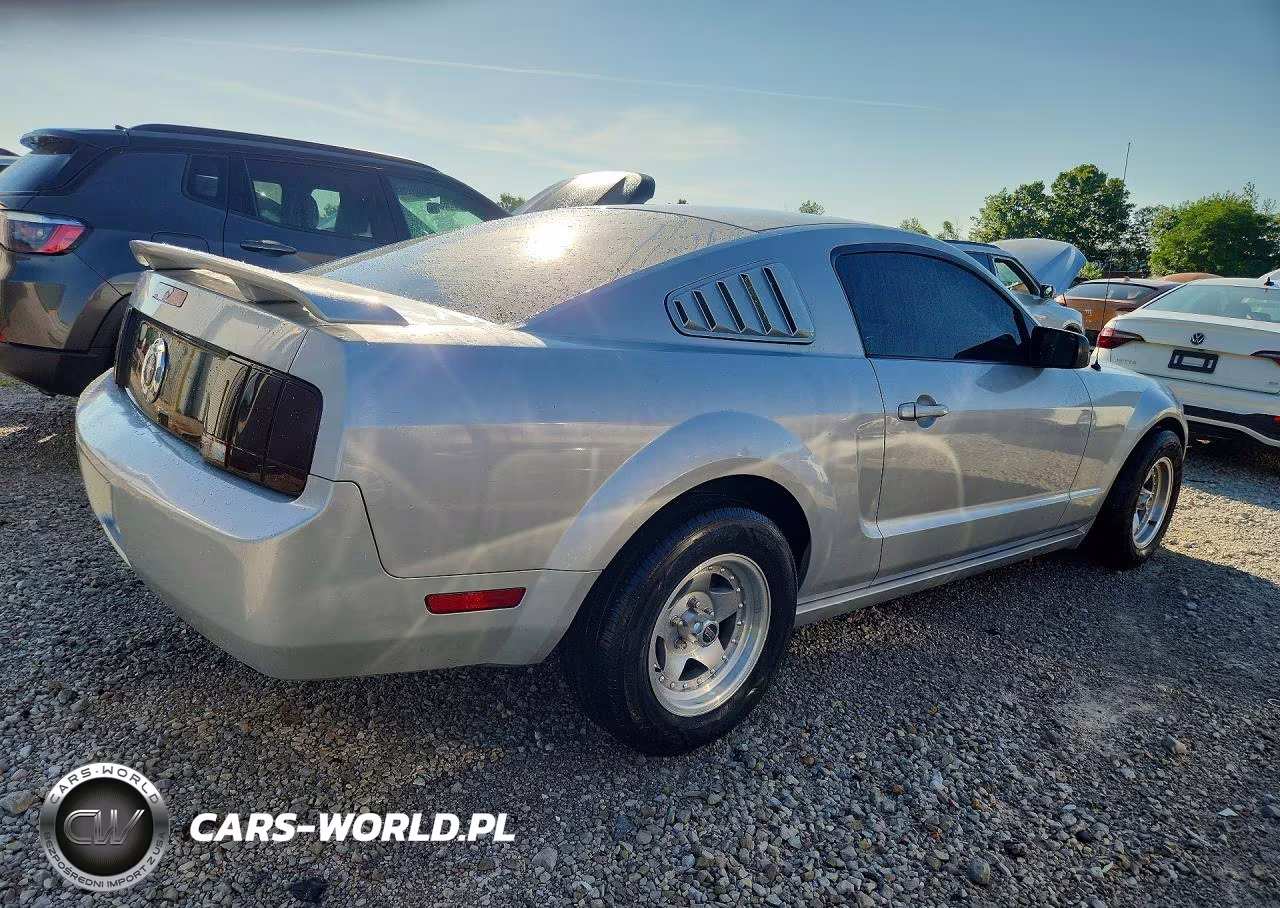 2005 Ford Mustang VIN:1ZVFT80N955188682 - 3