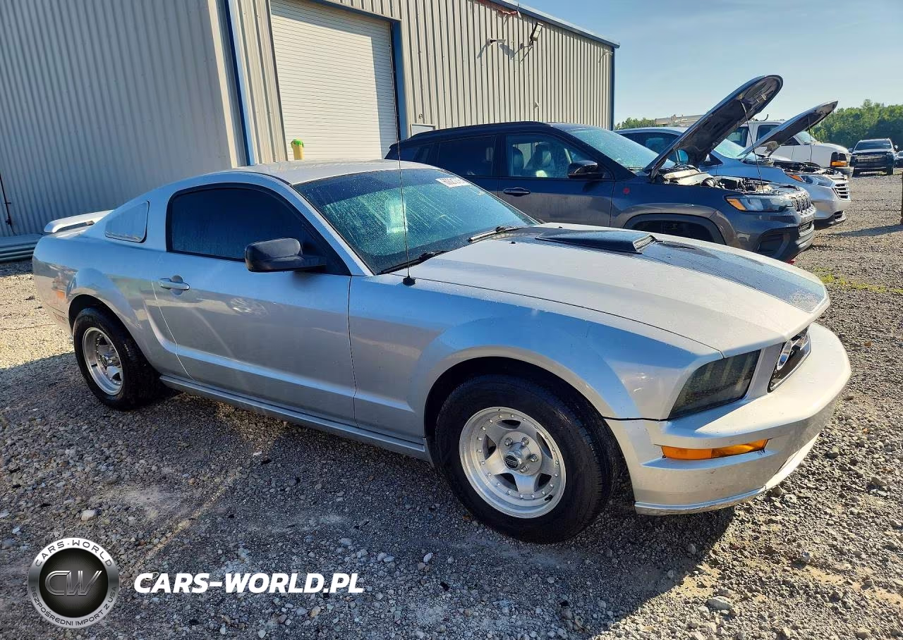 2005 Ford Mustang VIN:1ZVFT80N955188682 - 4