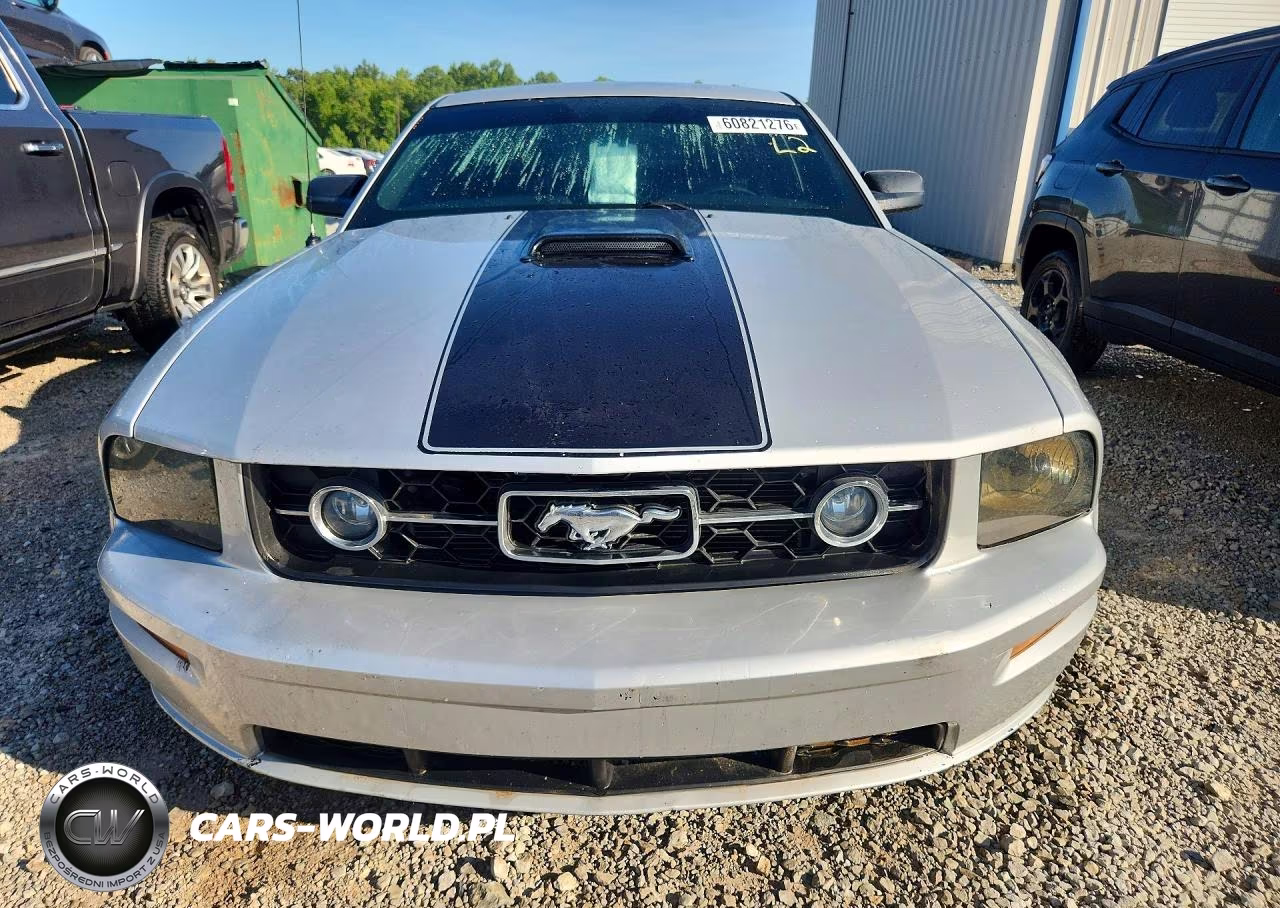 2005 Ford Mustang VIN:1ZVFT80N955188682 - 5
