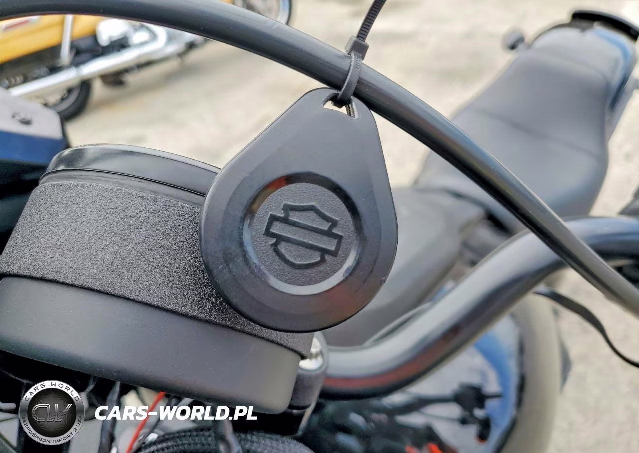 2023 Harley-Davidson Fxlrs VIN:1HD1YWZ22PB062582 - 8