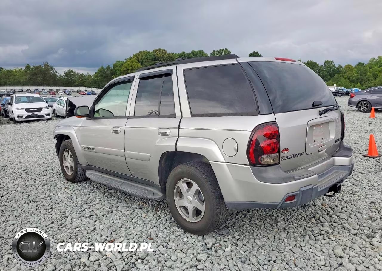 2004 Chevrolet Trailblazer Lt VIN:1GNDT13S542336434 - 2