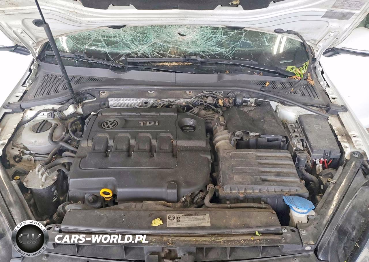 2015 Volkswagen Golf Sportwagen Tdi S VIN:3VWCA7AUXFM506362 - 11