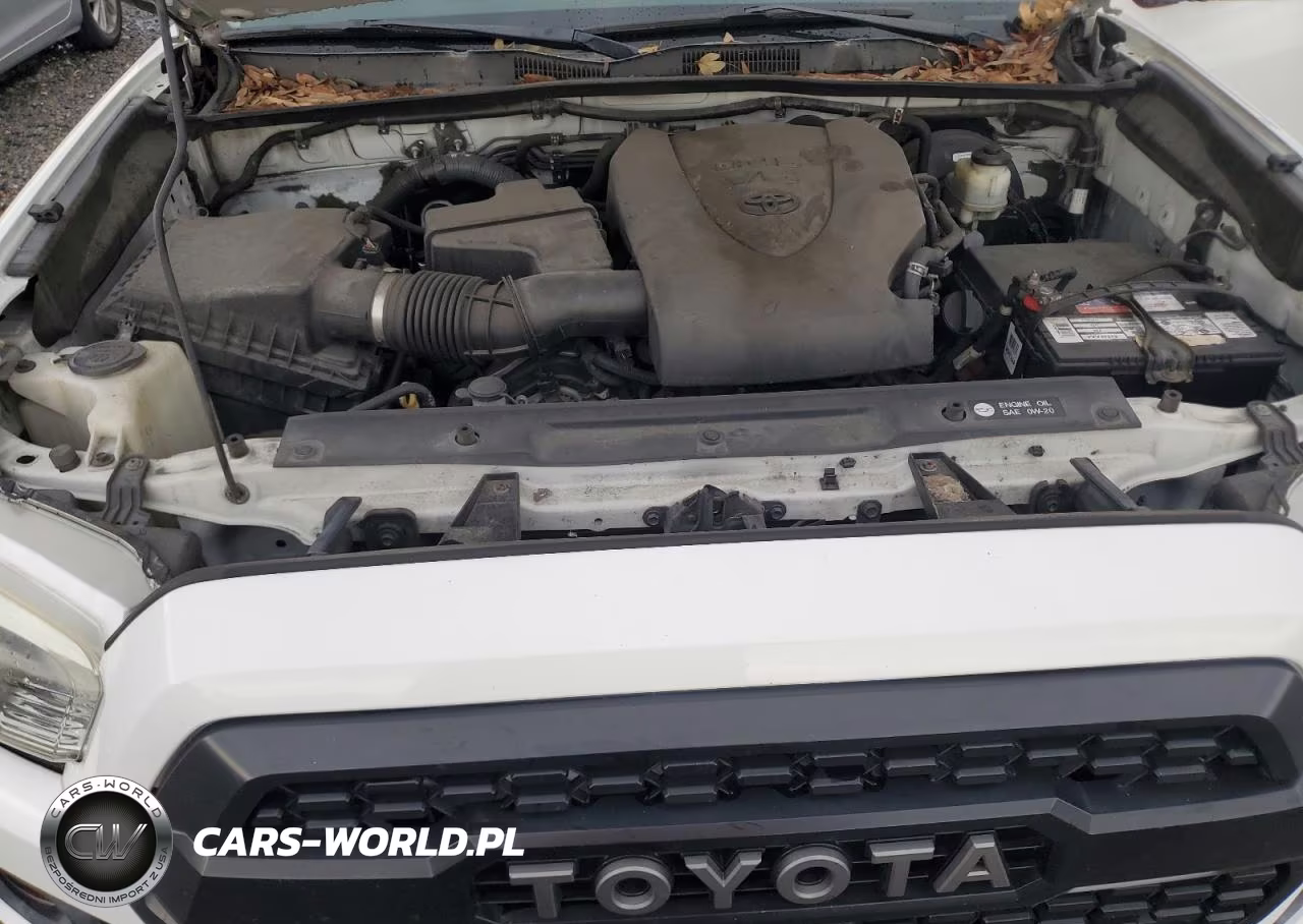 2016 Toyota Tacoma Sr5 V6 VIN:5TFRZ5CN8GX017891 - 11