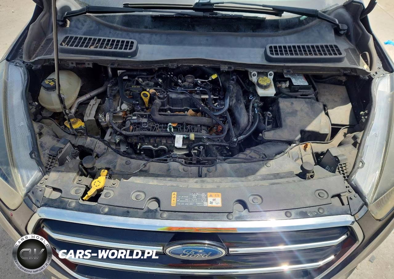 2019 Ford Escape Se VIN:1FMCU0GD8KUB07279 - 12