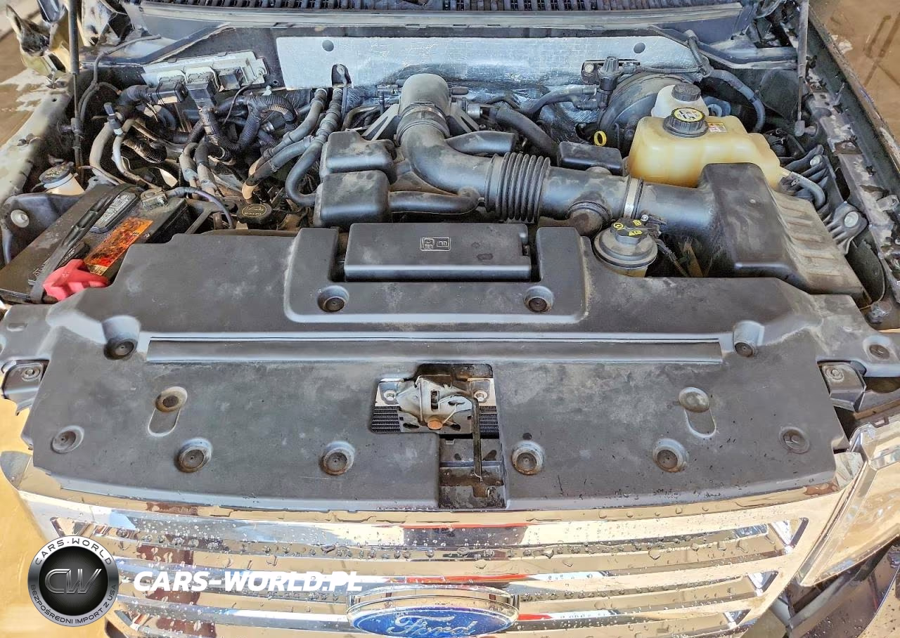 2008 Ford Expedition Eddie Bauer VIN:1FMFU18558LA09125 - 12