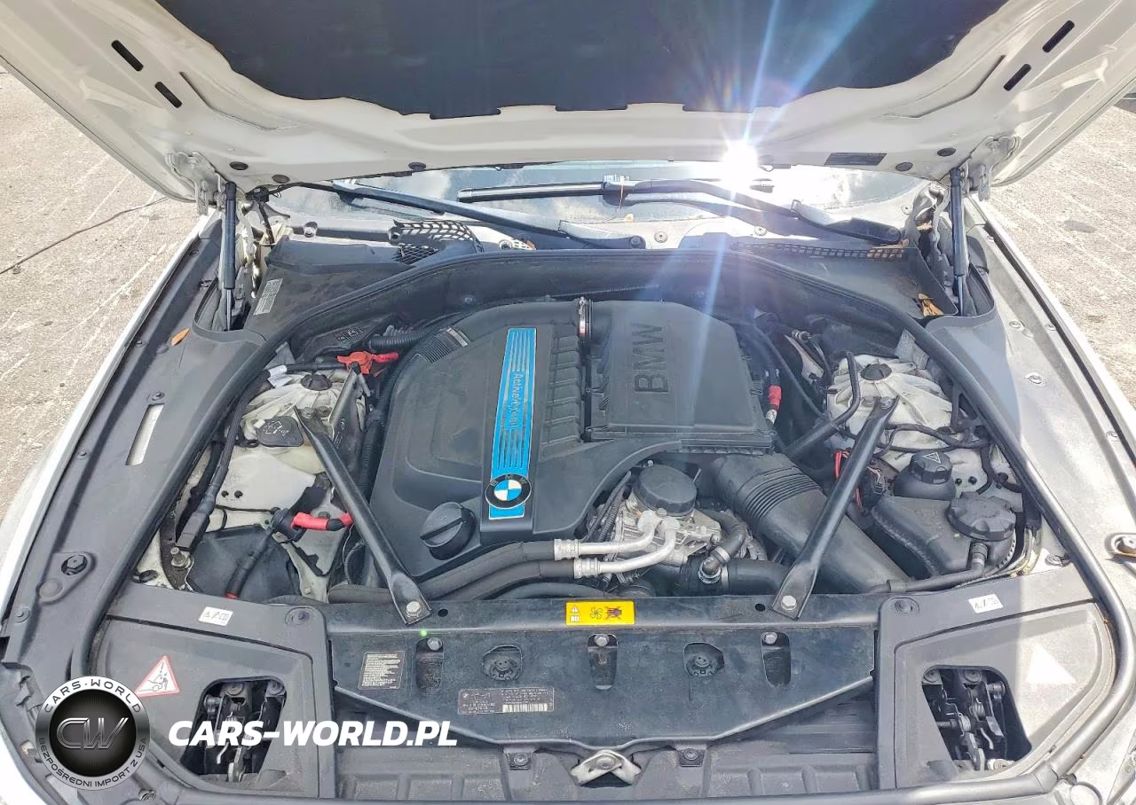 2014 BMW Activehybrid 5 VIN:WBA5E1C58ED221007 - 11