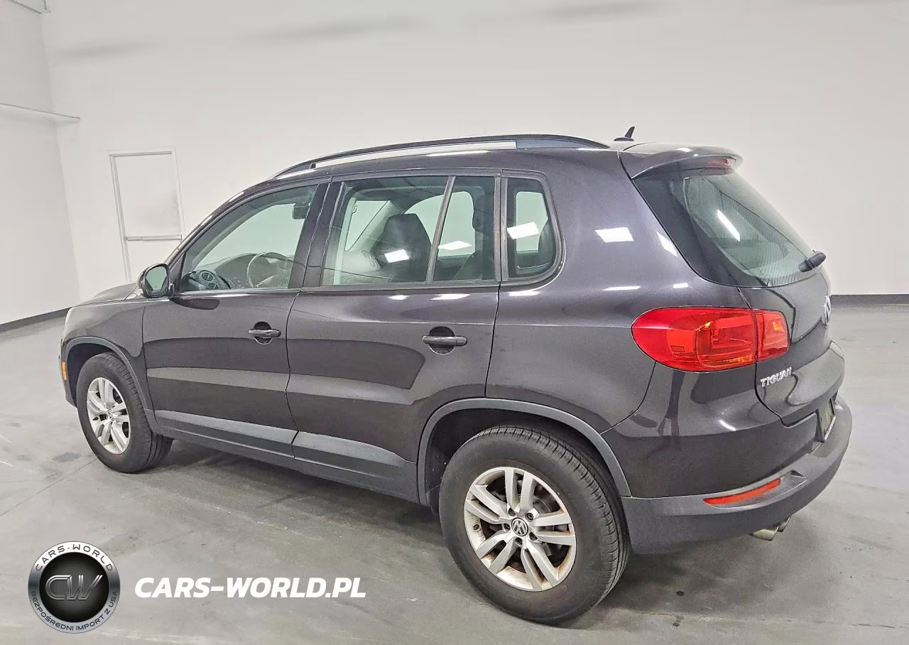 2016 Volkswagen Tiguan S VIN:WVGAV7AX0GW546343 - 2