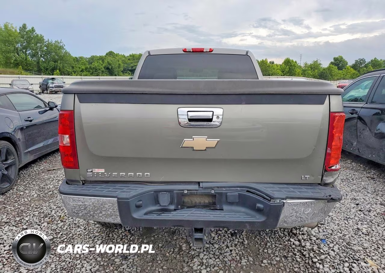 2009 Chevrolet Silverado C1500 Lt VIN:1GCEC29C59Z105969 - 6